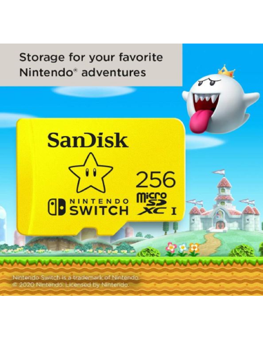 Carte Mémoire 256 Go Switch – Produit Officiel au Maroc