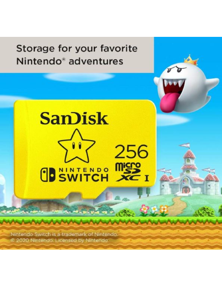 Carte Mémoire 256 Go Switch – Produit Officiel au Maroc