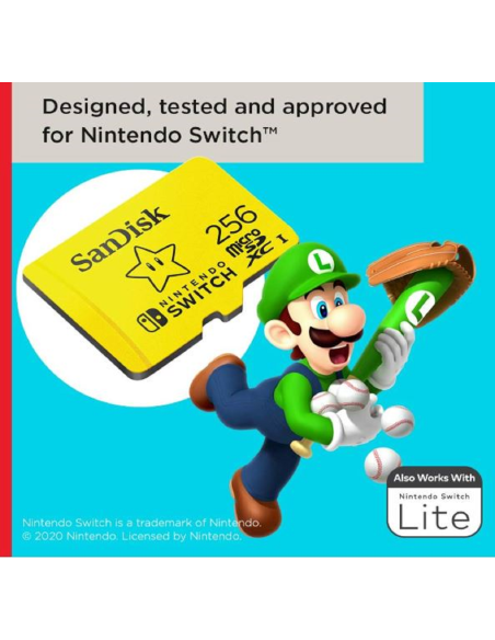 Carte Mémoire 256 Go Switch – Produit Officiel au Maroc