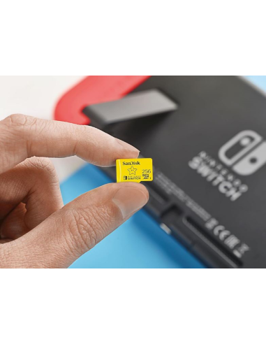 Carte Mémoire 256 Go Switch – Produit Officiel au Maroc
